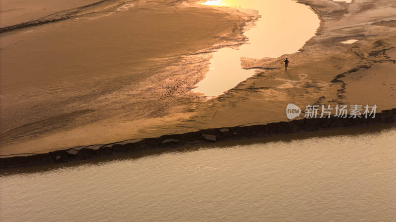 黄河生态湿地环境