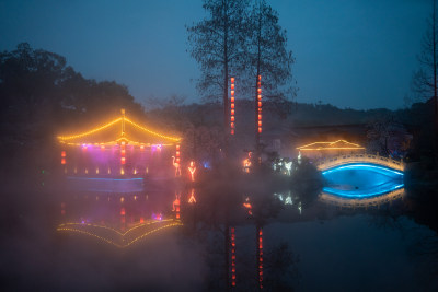 武汉东湖樱园夜樱