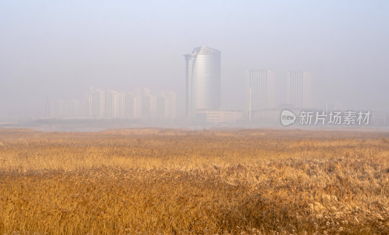 广利河湿地公园冬景