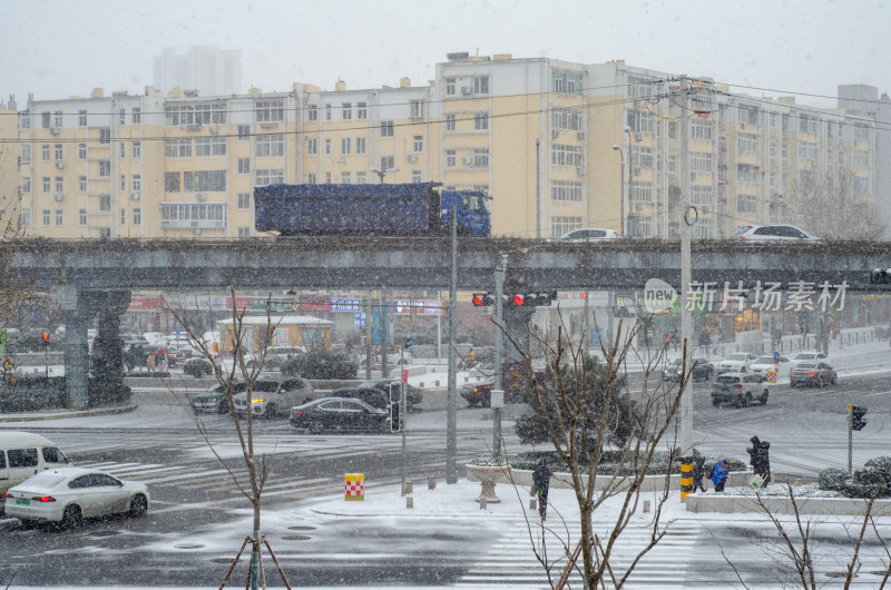 青岛下雪的冬天道路街景