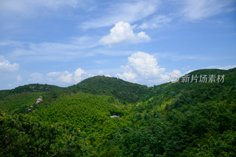 山中的风景