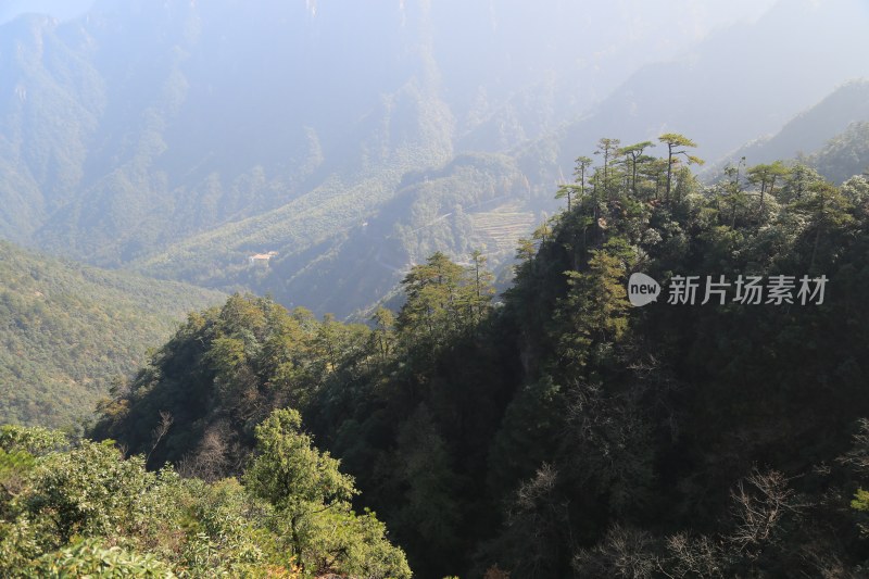 云雾缭绕的山峰