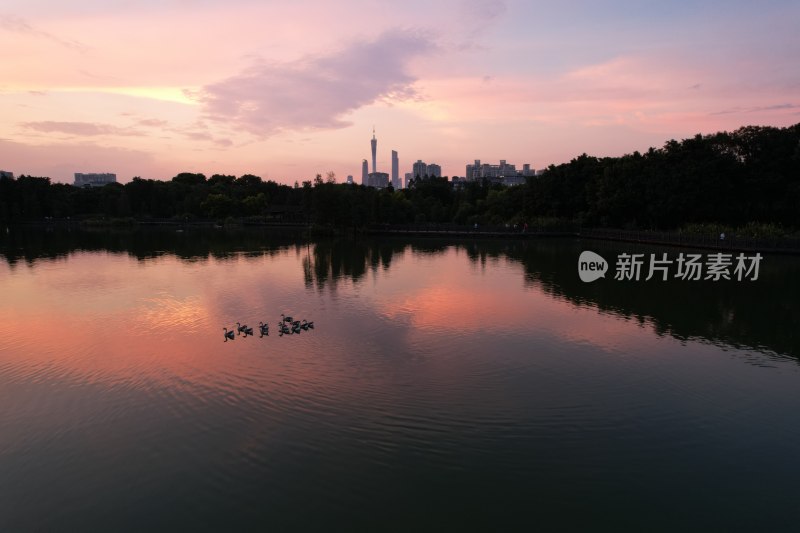 广州海珠湖公园