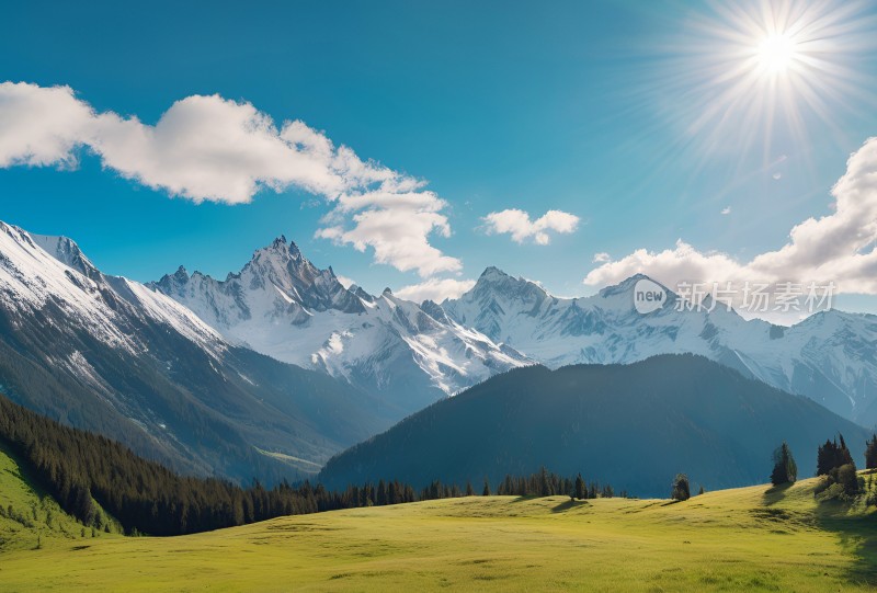 雪山草原森林风景