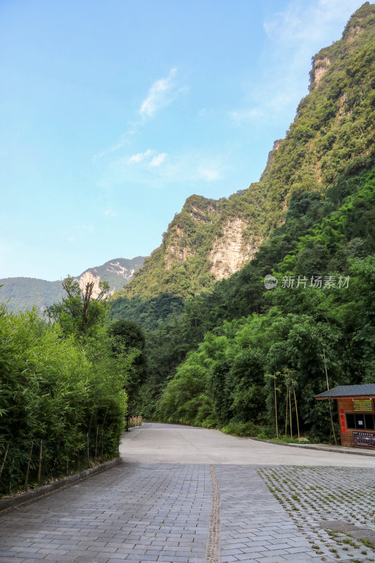 湖北宜昌三峡竹海风景区，自然风光，竹海