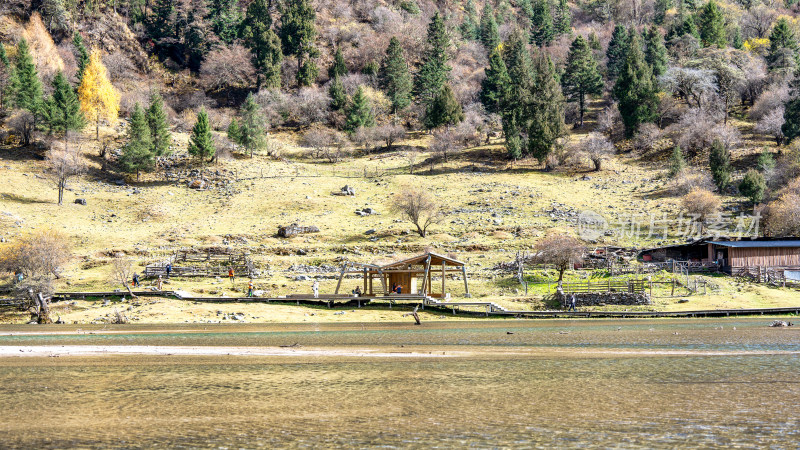 四川四姑娘山双桥沟秋天色彩的局部特写