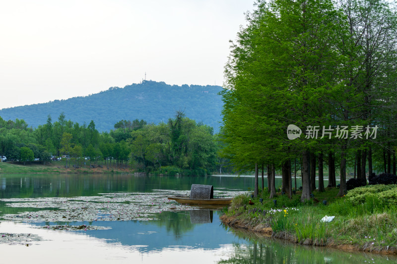 夏季燕雀湖