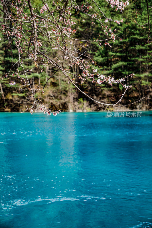 九寨沟的清澈湖水景观