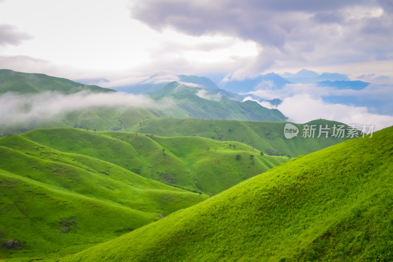 夏天江西武功山的高山草甸