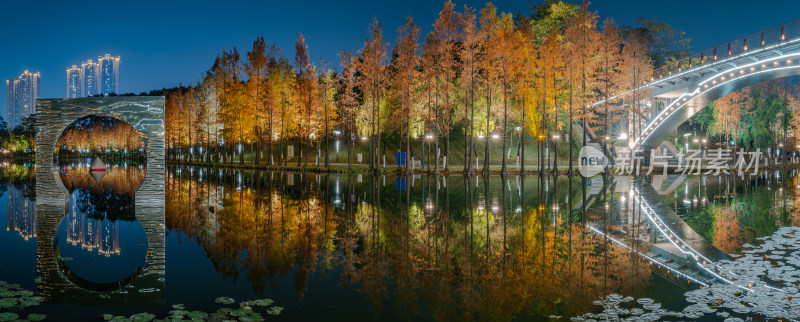 佛山千灯湖南海活水公园落羽杉夜景全景长图