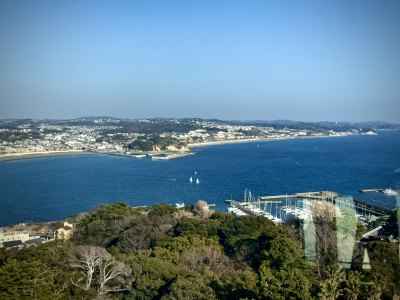 海滨城市全景图含码头与茂密树林