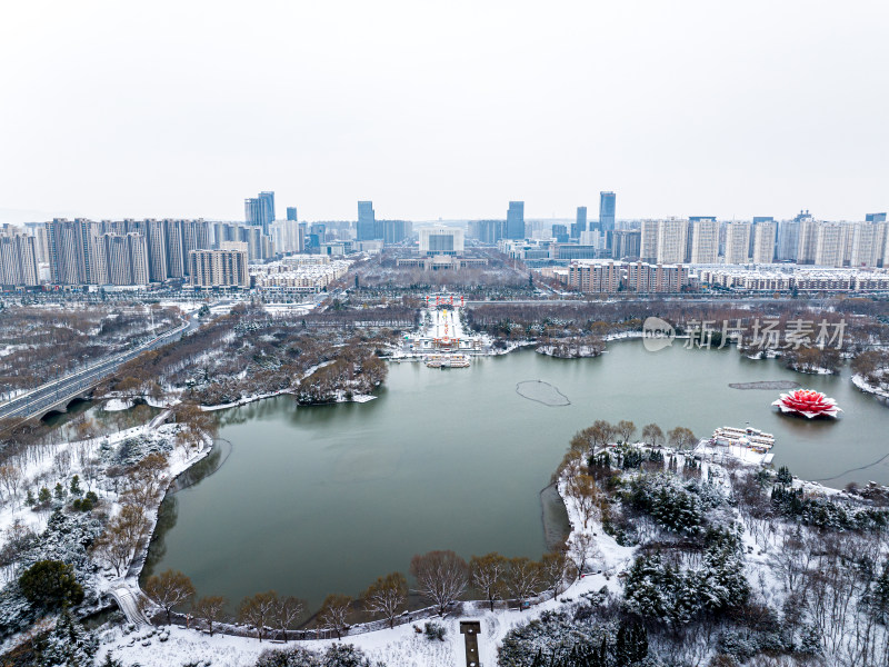 洛阳隋唐植物园雪景