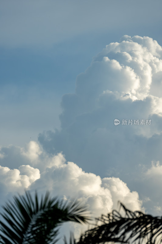 天空中的积雨云