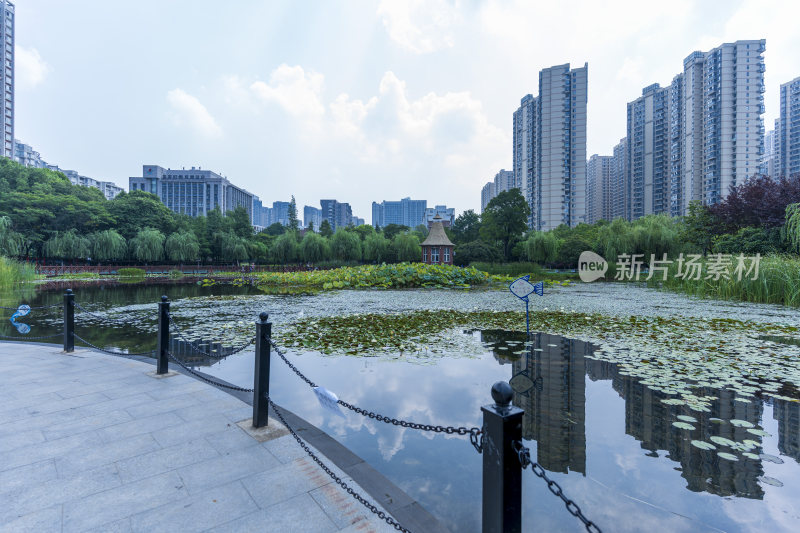 武汉关山荷兰风情园风景