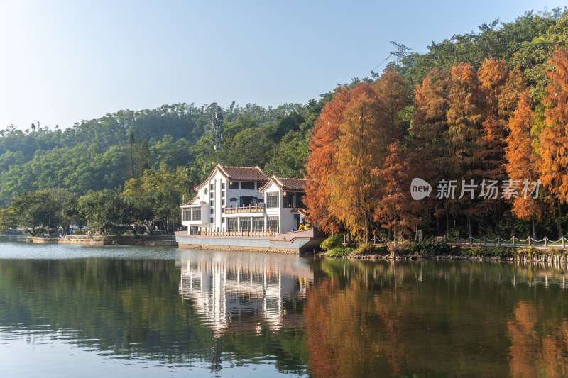 仙湖植物园