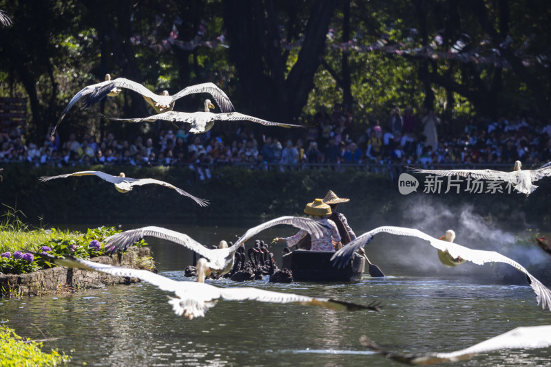 广州长隆飞鸟乐园百鸟飞歌