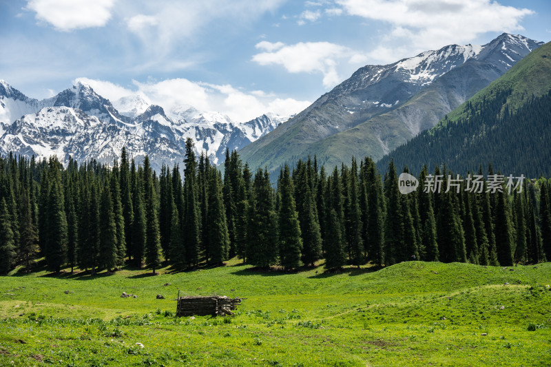 昭苏夏塔景区