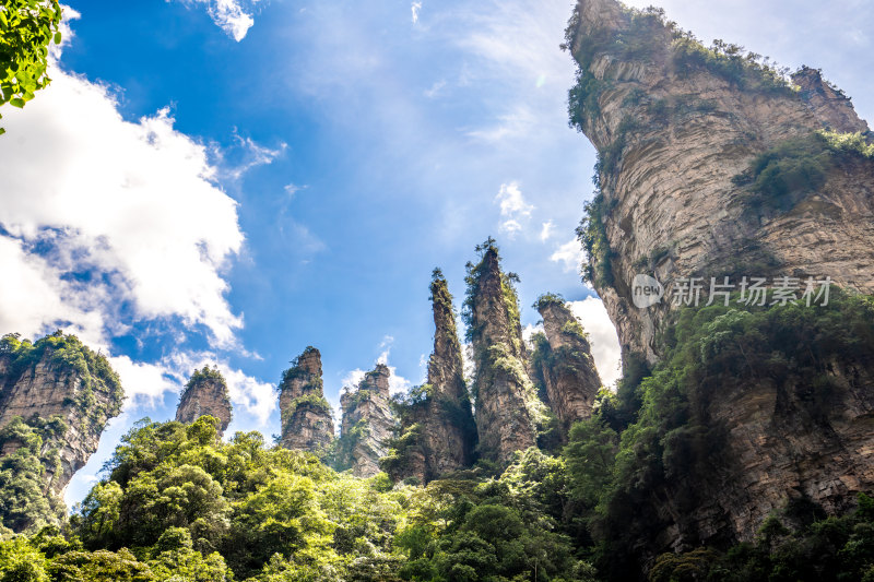 中国湖南张家界景区奇特山峰与茂密森林