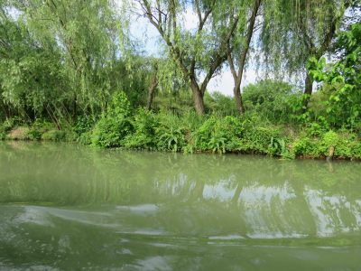 杭州西溪湿地旅游风景