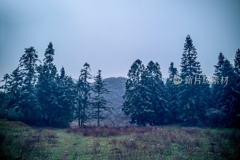 重庆酉阳：龙头山上冻雨“缀”美