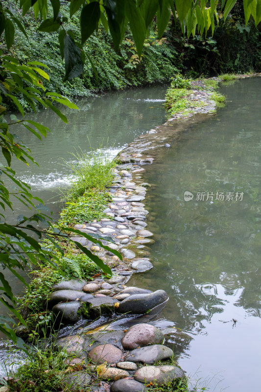 清幽池塘中的鹅卵石路