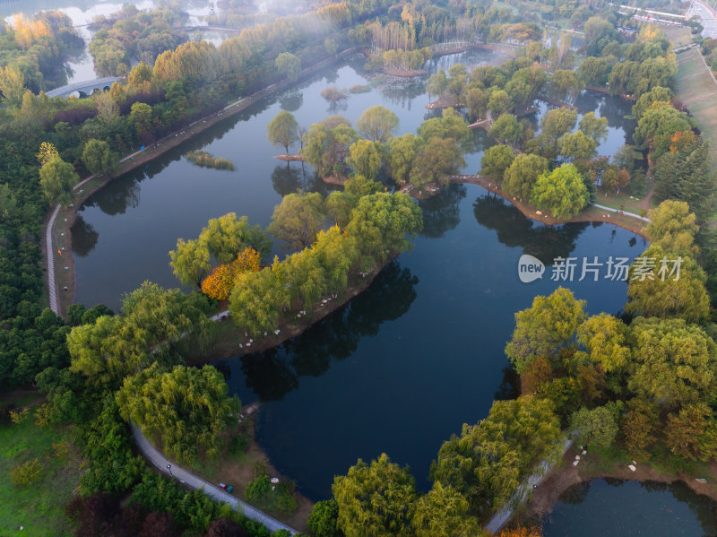 航拍河边湿地清晨的薄雾森林