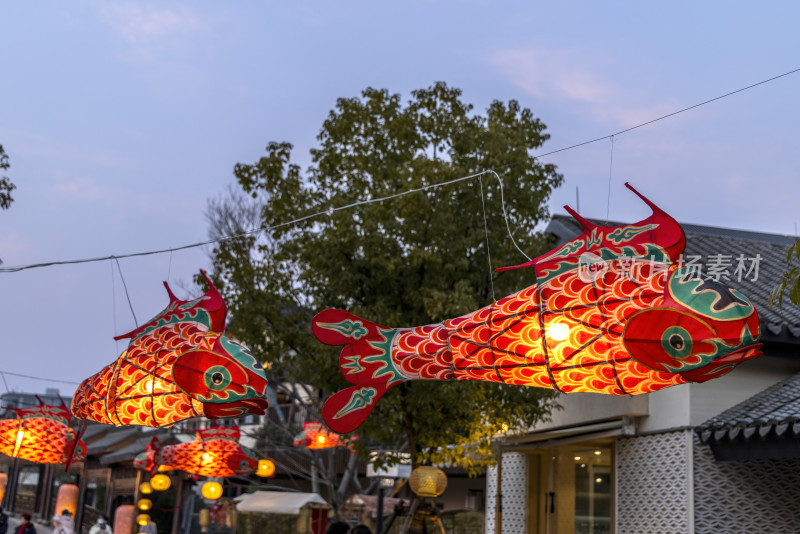 鱼灯笼花灯春节新年节日夜晚上海蟠龙天地