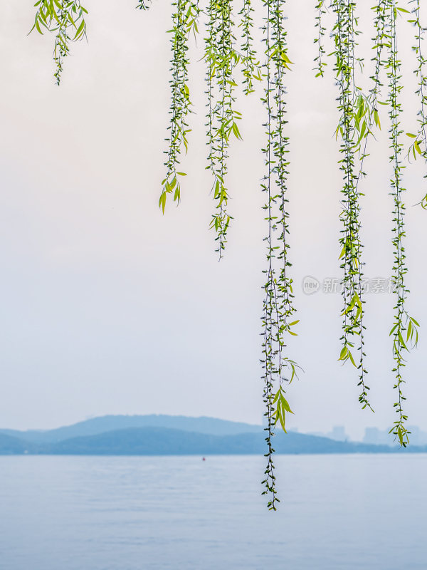 武汉东湖风景区景点风光