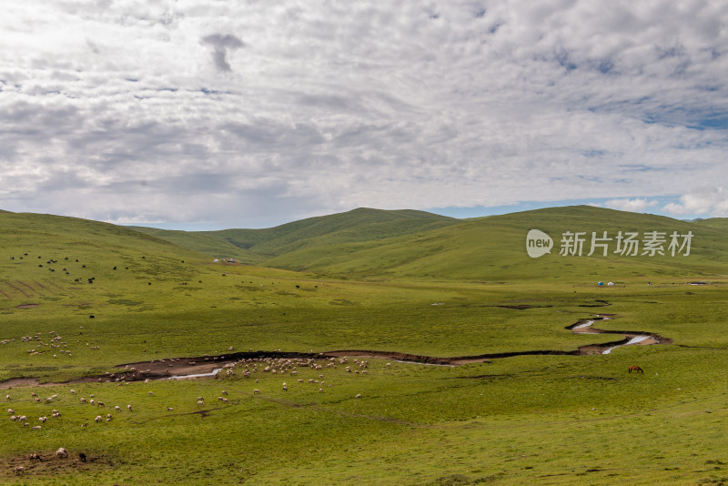 蓝天白云草原风景