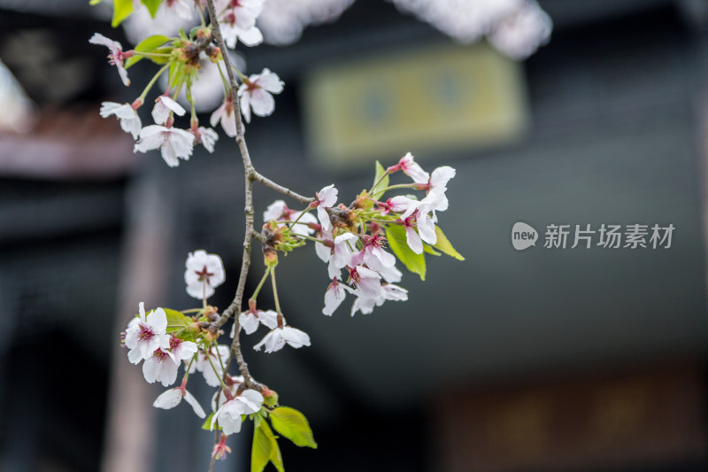 江苏无锡鼋头渚风景区