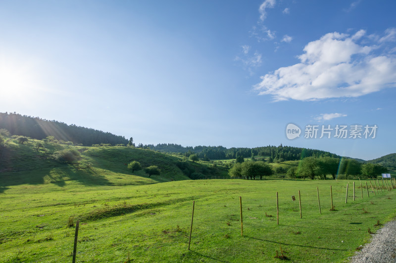 重庆市武隆区仙女山国家森林公园