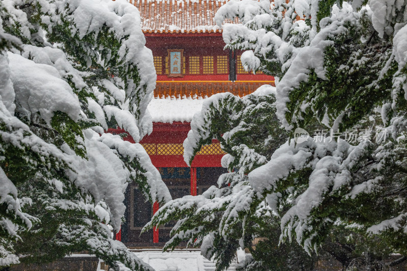 长沙岳麓书院雪景