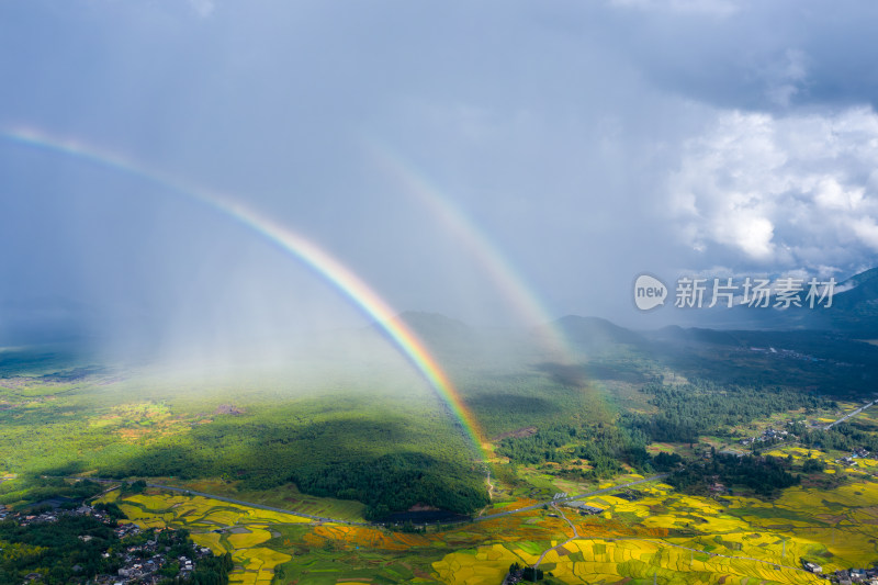 秋天雨后金黄稻田上的彩虹