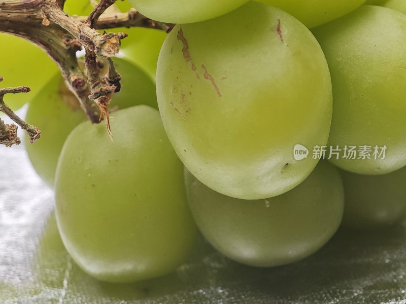 青葡萄特写果实饱满呈现新鲜状态