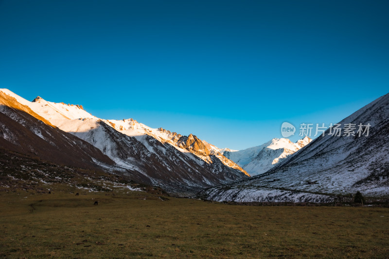 雪山牧场日落时分日照金山