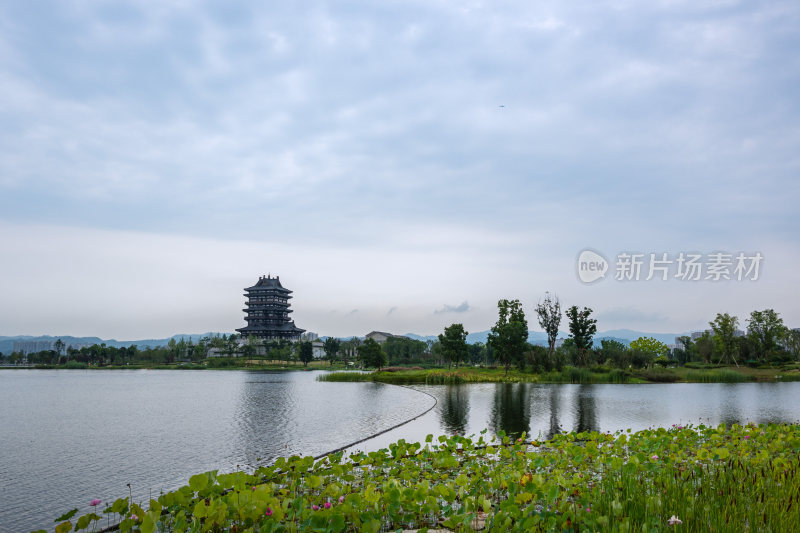 成都东安湖风景