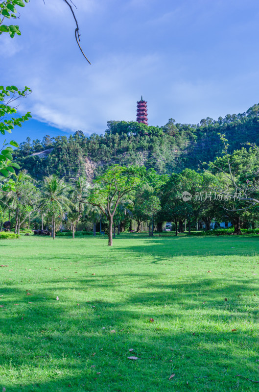 广州南沙蒲洲花园绿色草坪树林自然景观