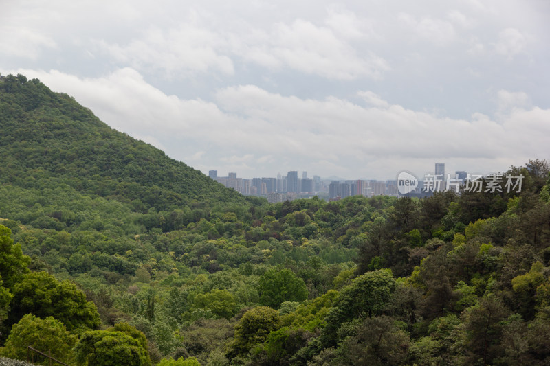 山坡茶园与绿树景观