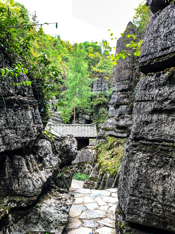 湖北恩施梭布垭石林旅游风光