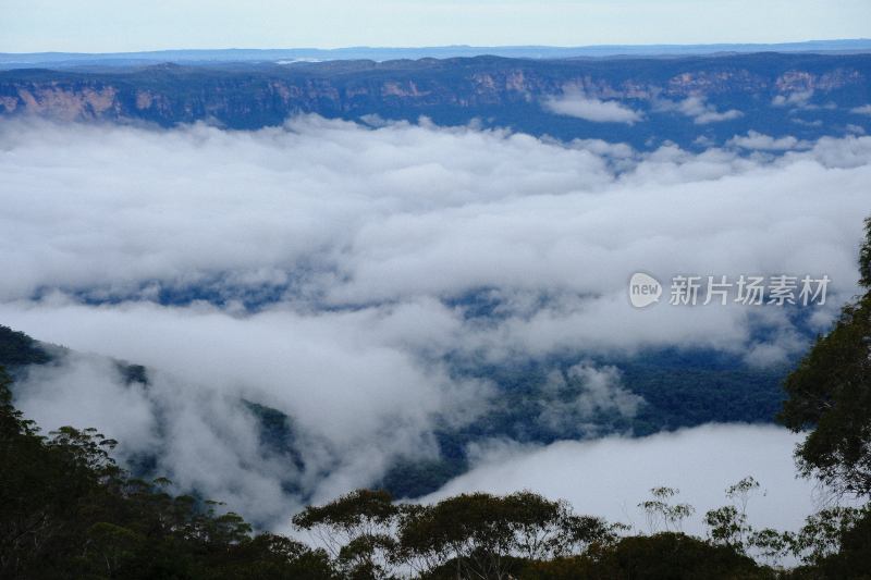 悉尼蓝山 (3)