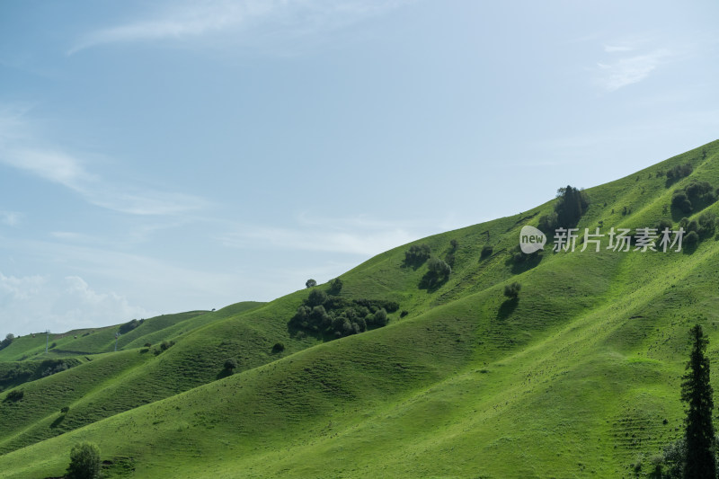 新疆伊犁那拉提景区