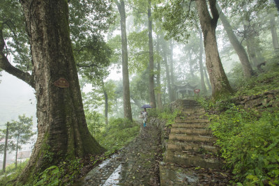 浙江松阳古村落风景 挑担的人走在山路上