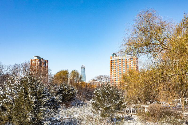 济南泉城公园自然景观雪景