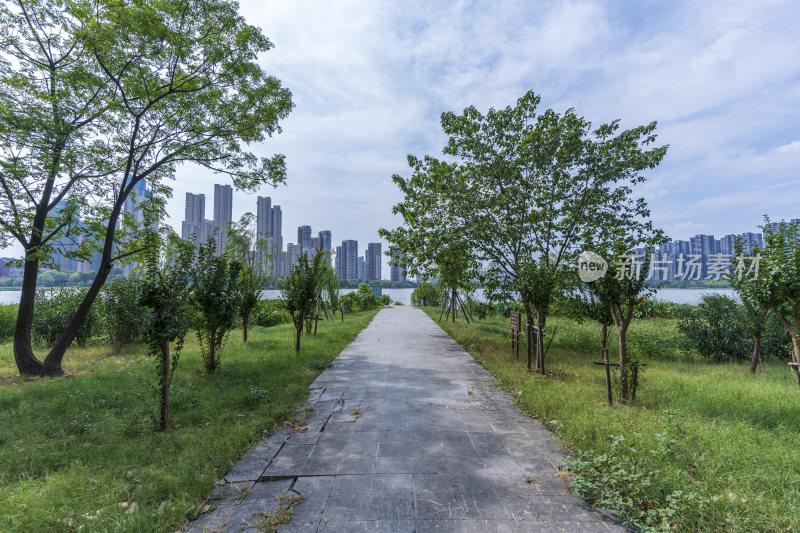 武汉江夏区汤逊湖壹号湿地公园风景