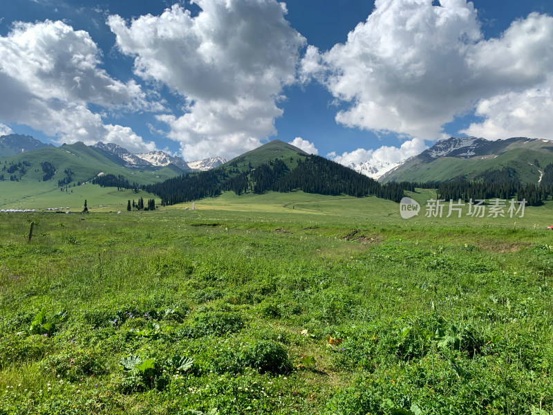 中国新疆伊犁那拉提草原旅游风光