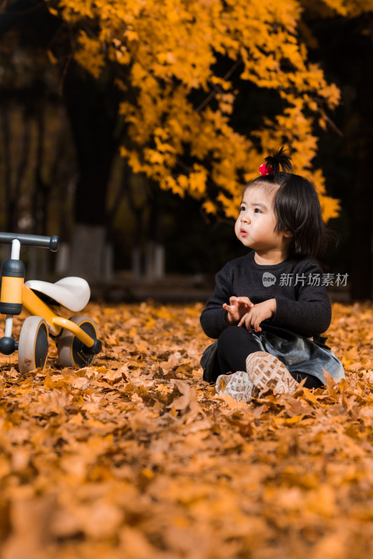 深秋坐在公园落满黄叶的草地上玩耍的女孩