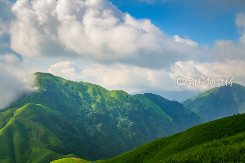 夏天江西武功山的高山草甸