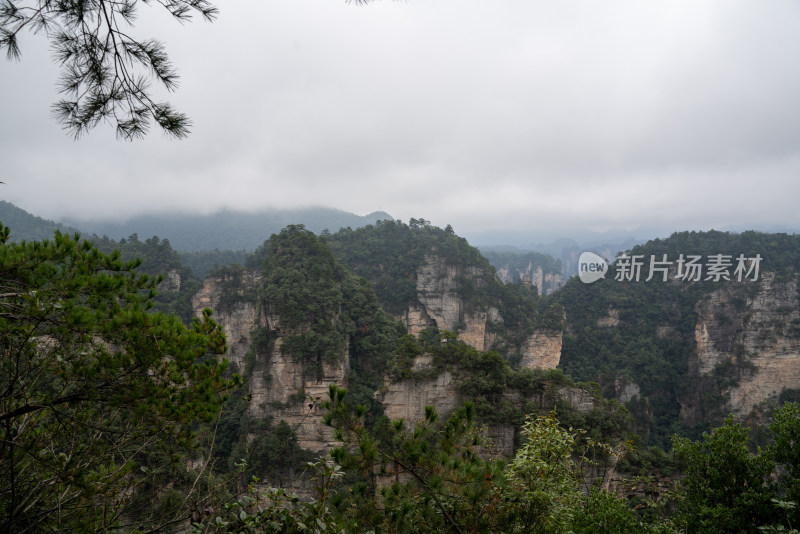 云雾缭绕的张家界奇峰异石景观