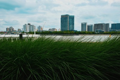 河边绿色菁菁草地