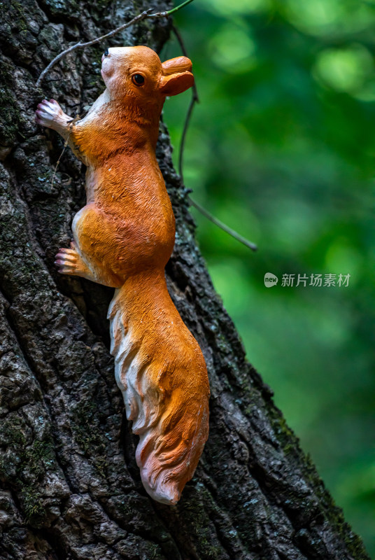 西安秦岭终南山南五台树上的松鼠特写